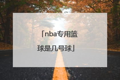 「nba专用篮球是几号球」NBA官方专用篮球